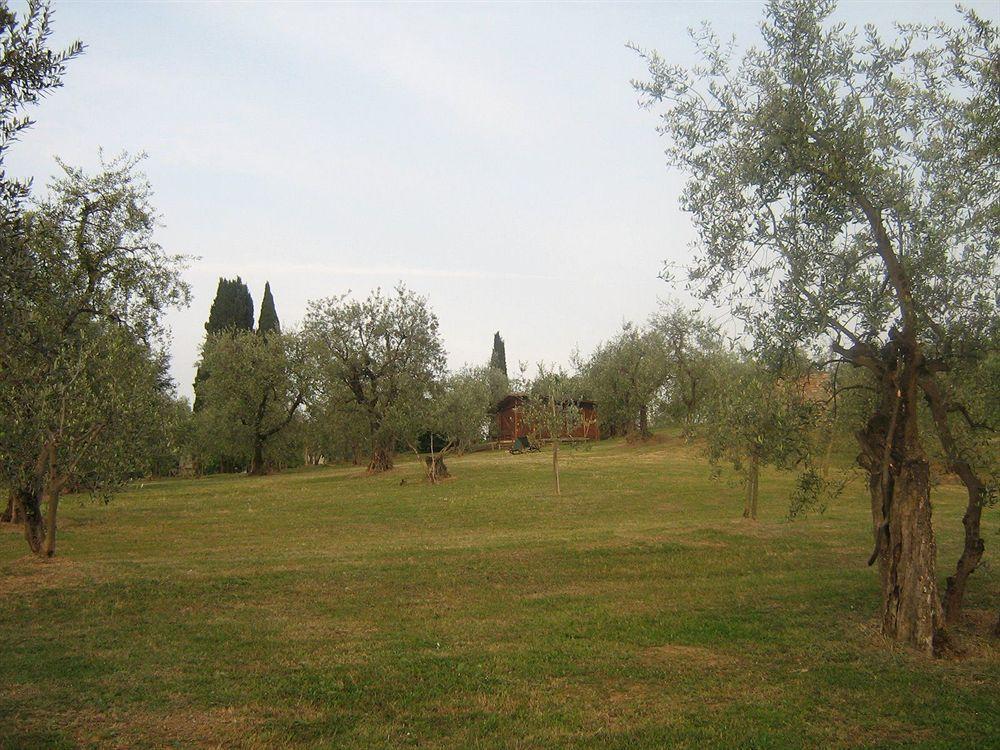 L'aia Country Holidays * Siena